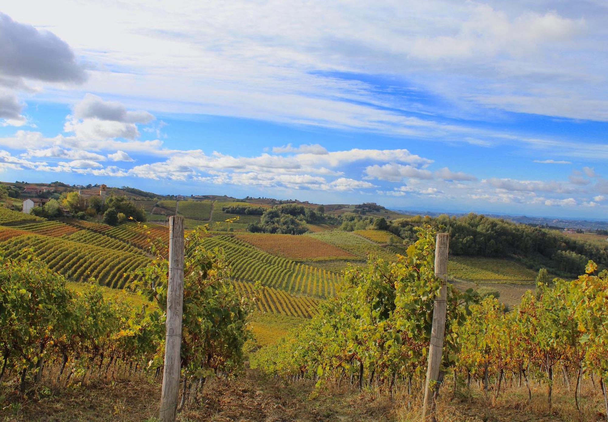 Willa Amazing Langhe And Monferrato | House With Garden Calamandrana Zewnętrze zdjęcie